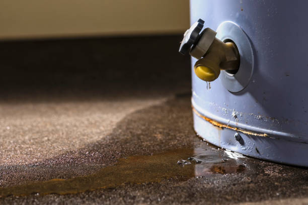 , MN Water damage restoration Company
