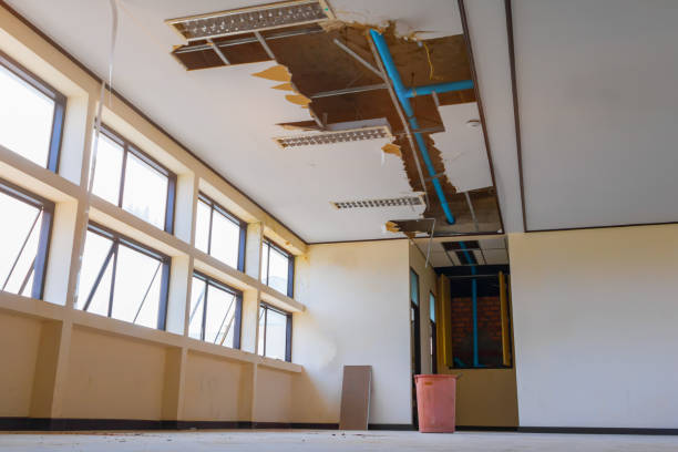 Best 24/7 water damage repair  in Stillwater, MN