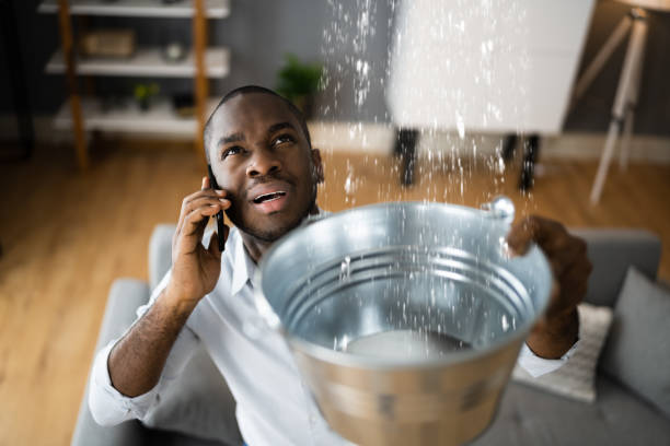 Best Flood restoration services  in Stillwater, MN