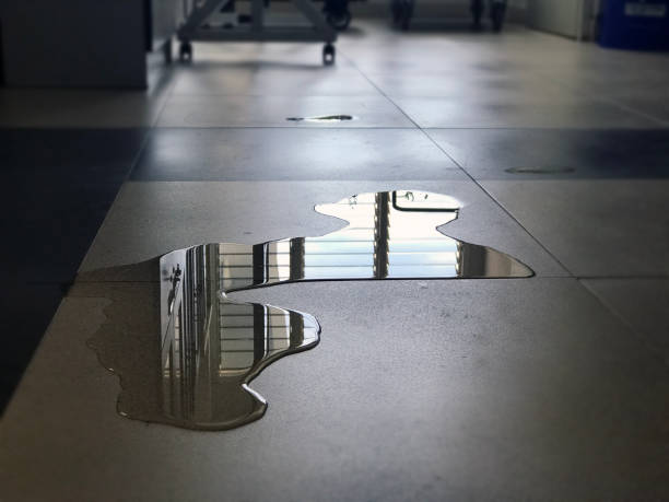 Best 24-hour water damage restoration  in Stillwater, MN