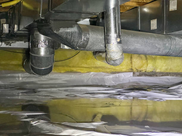 Best Flooded house restoration  in Stillwater, MN