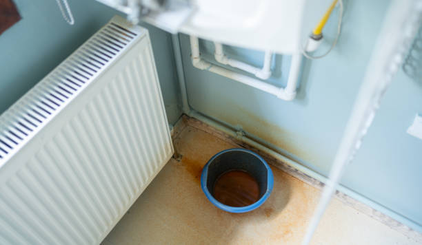 Best Fire Damage Restoration  in Stillwater, MN