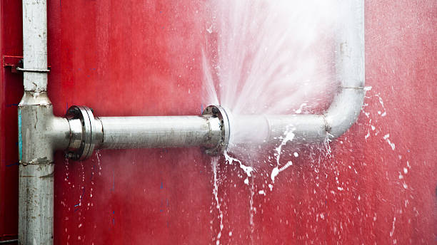 Best Sewage cleanup and water damage restoration  in Stillwater, MN
