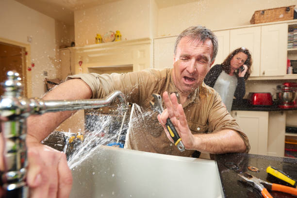 Best Flood damage cleanup  in Stillwater, MN